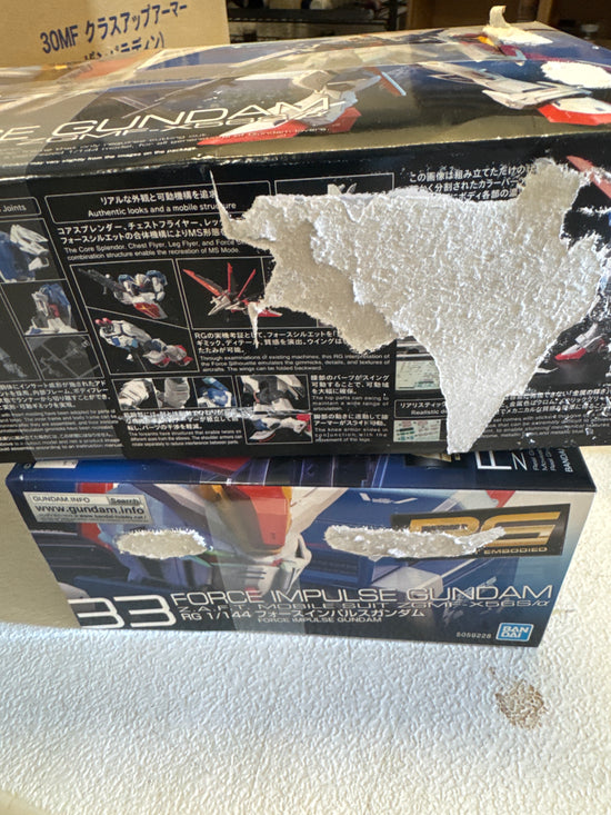 RG Force Impulse Gundam (Damaged box 10% OFF)