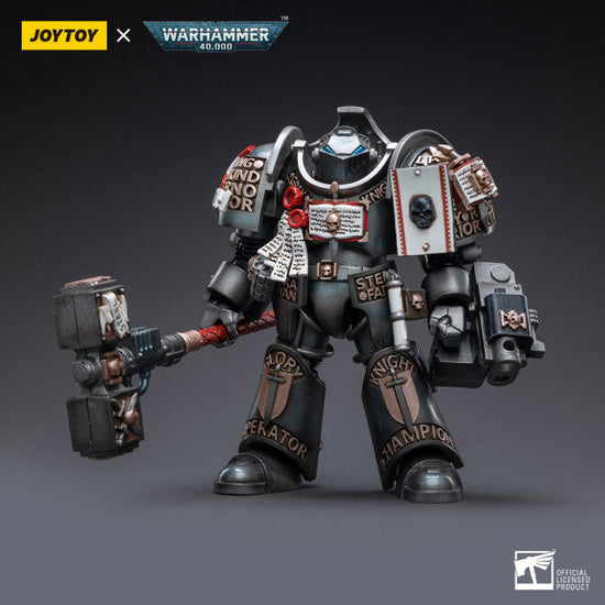 Joytoy WH40K Grey Knights Terminator Caddon Vibova