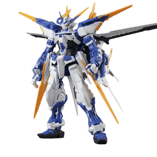 MG Gundam Astray Blue Frame D