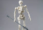 30 Minutes Fantasy Dlroskeleton M-01 Model Kit