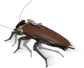 Robox Animation RB-P-02 Guangdong Cockroach Cantonese Heavy Utility Vehicles Plastic Model Kit (Pre-Order)