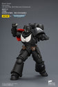 Raven Guard Intercessor with Bolt Rifle, Bolt Pistol and Chainsword