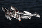 Godzilla vs. Evangelion EVA-01 Test Type (Mechagodzilla Ver.) Model Kit (Reissue)
