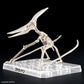 Plannosaurus Pteranodon Model Kit 