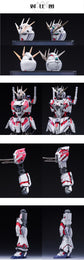 AOK Model 1/100 Mobile Suit RX-9/C Gundam NT Narrative Garage Kit Resin Conversion Kit (Pre-Order)