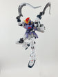 HG SANDROCK CUSTOM (Water Decal)