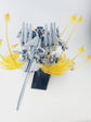 HG Alyzeus (Water Decal)