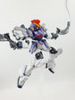 HG SANDROCK CUSTOM (Water Decal)