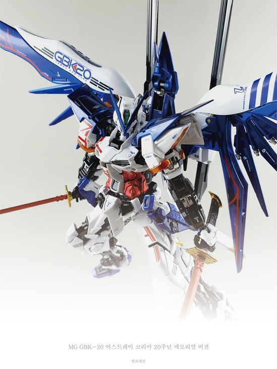 MG Korea 20th Astray (Water Decal)