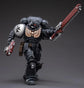 JoyToy WH40K Black Templars Primaris Initiate (Outriders) Brother Valtus