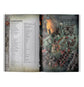 Warhammer Age of Sigmar Battletome: Cities Of Sigmar