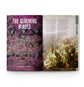 White Dwarf 512