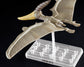 Plannosaurus Pteranodon Model Kit 