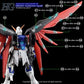 G-REWORK - [HG] [SEED] DESTINY GUNDAM TYPE II (Water Decal)