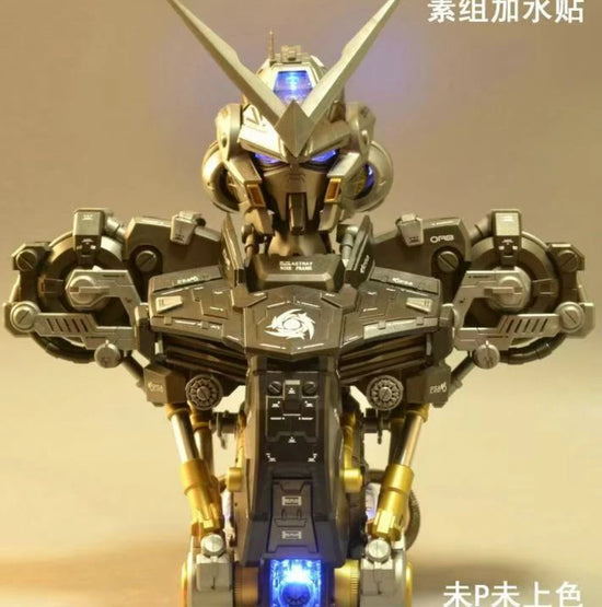 ASTRAY “Black” Frame Bust Head MK 1/35 Model Kit