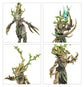 Warhammer Age of Sigmar Sylvaneth: Outcast Spitegrove