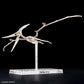 Plannosaurus Pteranodon Model Kit 