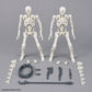 30 Minutes Fantasy Dlroskeleton M-01 Model Kit