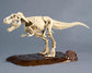 Jurassic World Rebirth Plannosaurus T-Rex Model Kit
