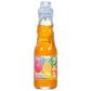 Ramune Glass Bottle (multiple Flavors available)