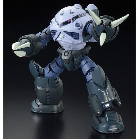 RG 1/144 Z’GOK