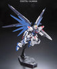 RG 
