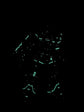 PG Zaku II (Luminous) (Water Decal)