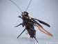 Robox Animation RB-P-02 Guangdong Cockroach Cantonese Heavy Utility Vehicles Plastic Model Kit (Pre-Order)