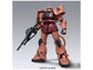 Mega Size MS-06S Char&