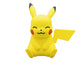Model Kit Quick! Pokemon 