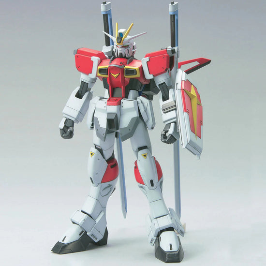 HG 1/100 