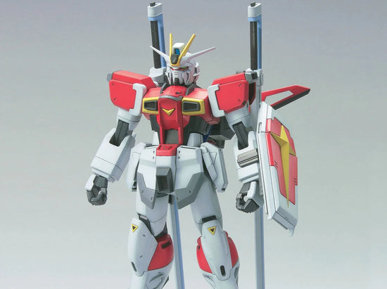 HG 1/100 