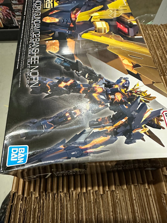 (DAMAGE BOX 15% off) RG 