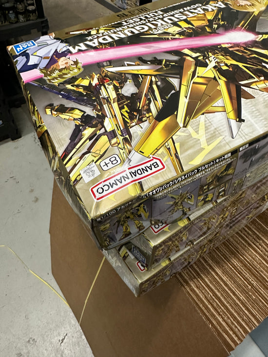 (Damaged Box 15% OFF) HG 1/100 
