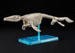 Plannosaurus 