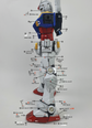 PG Unleashed RX-78-2 Ver. Delpi (Holo) (Polygonal Patterns) (Water Decal)
