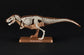 Plannosaurus 