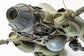 Maschinen Krieger PLAMAX Antigravity Armored Raider Pkf.85 Falke