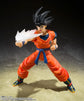 Dragon Ball Z S.H.Figuarts Goku&