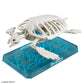 PLANNOSAURUS Archelon Prehistoric Sea Turtle Model Kit