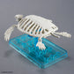 PLANNOSAURUS Archelon Prehistoric Sea Turtle Model Kit