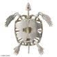 PLANNOSAURUS Archelon Prehistoric Sea Turtle Model Kit