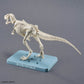 Plannosaurus Tyrannosaurus (Snowfall Area Ver.) Model Kit