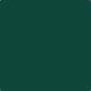 Mr. Color Dark Green (Kawanishi) (10ml)