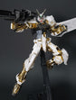 MG Gold Frame (White & Holo) (Water Decal)