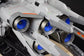 HG Dendrobium (Water Decal)