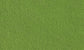 TURF-GREEN GRASS