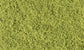 LIGHT GREEN-COARSE TURF
