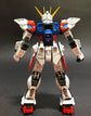 RG Build Strike Full Package (Water Decal)