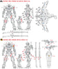 MG Astray Red Frame (MB Style) (Water Decal)